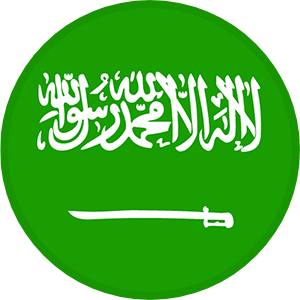 沙特logo